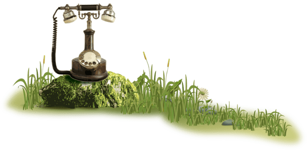 Contacto diseño web seo torrelodones
